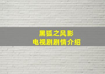 黑狐之风影 电视剧剧情介绍